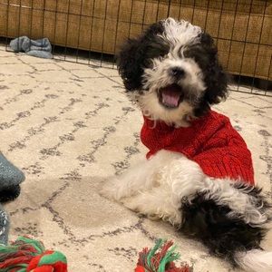 Meet your Posher, Matthew